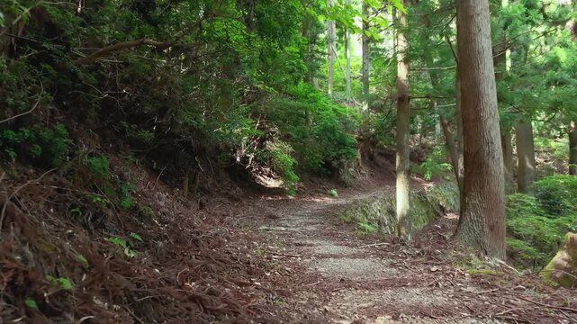 POV Walking Shot on the Choishi-michi Pilgrimage Trail Between the 34th and 33rd Stone Markers, Koyasan, Wakayama, Japan　主観移動撮影・高野参詣道 町石道「34町石・33町石区間」和歌山県高野町