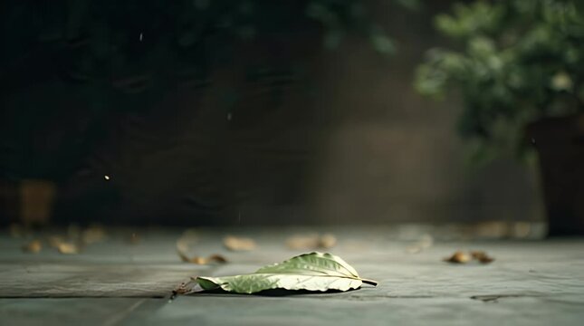 Single Green Leaf Falling onto Wooden Surface in Natural Light