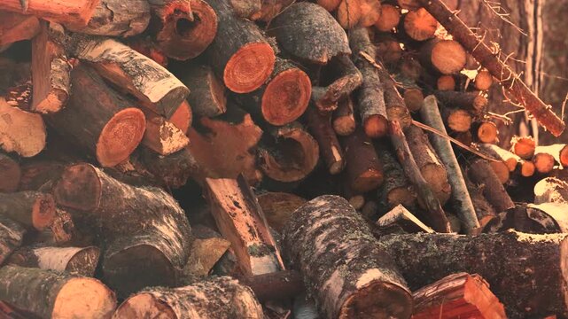 Stack of wooden logs prepared for splitting into firewood and heating a rural Scandinavian home, representing village life, traditional heating, winter preparation and sustainable woodland fuel