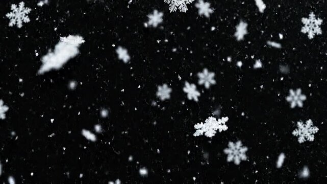 Close-up view of snowflakes falling against a black background, illustrating winter's delicate beauty and the magic of a snowy day