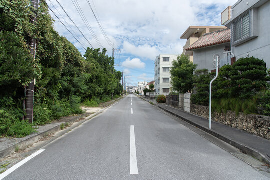 木々や電柱や家々が両側にある住宅地の片道一車線の直線の道