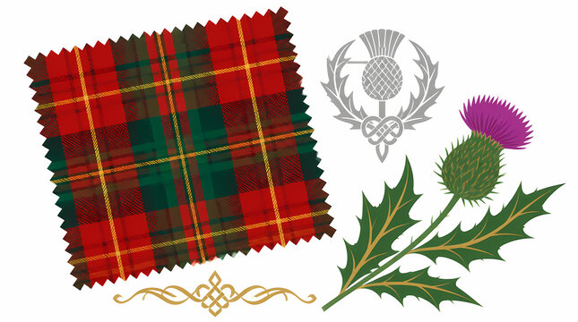 Scottish Tartan Fabric Sample with Thistle Flower and Clan Crest Symbolic Design Elements