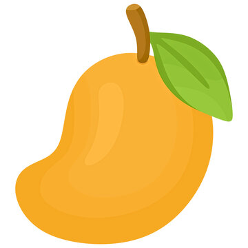Ripe yellow mango fruit with stem and green leaf, vector illustration isolated on transparent background