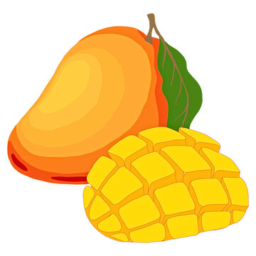Whole ripe mango with leaf and diced mango cubes, tropical fruit vector illustration isolated on transparent background