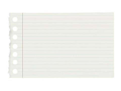 Loose leaf notebook paper with perforated edge isolated on transparent background for school and office supplies