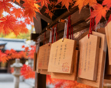 Wooden ema wish plaques at shrine with autumn leaves