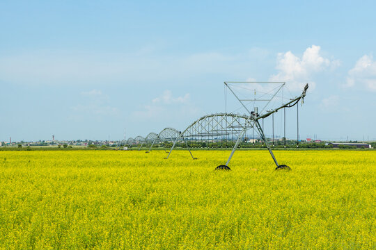 Agricultural irrigation system on yellow flowering field under blue sky with scattered clouds, showcasing modern farming technology in a rural landscape