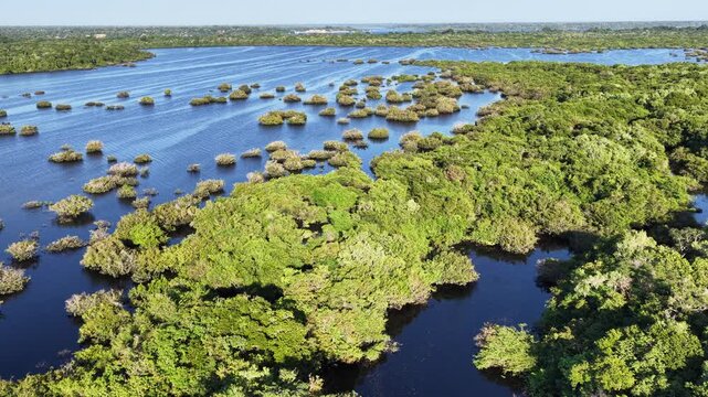 Anavilhanas Archipelago At Novo Airao In Amazonas Brazil. Tropical Rainforest. Nature Skyline. Amazon Ecosystem. Anavilhanas Archipelago In Novo Airao In Amazonas Brazil. Beautiful Islands.