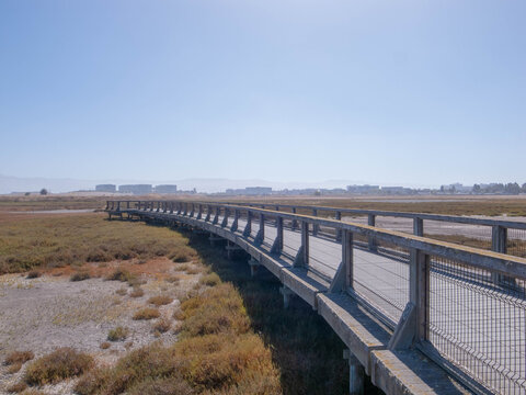 A weathered wooden boardwalk curves gently through golden salt marsh grasses toward a hazy skyline of distant office buildings. Wire mesh railings and sun-bleached planks reflect the character of a we