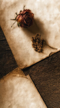 Antique Parchment and Dried Rose Still Life