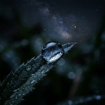 Macro shot of a dewdrop on a leaf reflecting the starry night sky.
