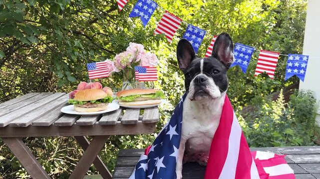 Cute dog at a patriotic outdoor celebration with American flags, burgers, and decorations. Symbolizes animal-friendly holidays. Perfect for American holidays and pet care content