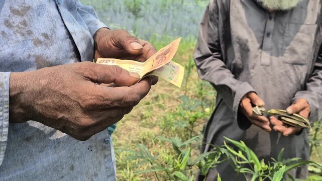 Close Up Of Farmer Hands Counting Cash Money Banknotes In Agricultural Field