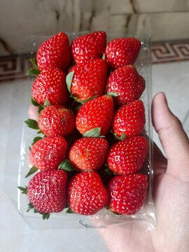 a hand holdinh strawberries in a plastic pack