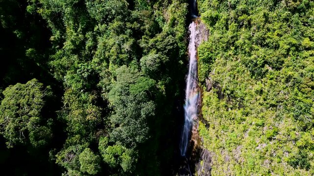 Aerial View of Tall Waterfall Hidden in Dense Ecuador Rainforest, Green Mountain Slope, White Cascade and Remote Tropical Wilderness Nature Scene