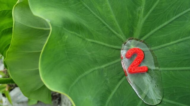 Red number two floating on large water droplet on green leaf nature dew botany macro liquid