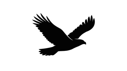 Fototapeta premium Silhouette of a flying bird in mid air.