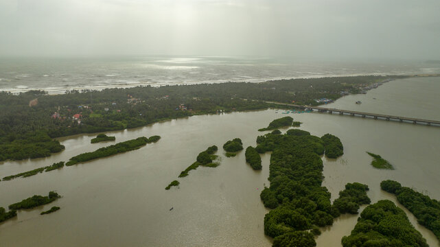 Mangrove wetlands of Honnavar, Karnataka
Aerial view of Honnavar estuary mangroves