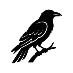 Fototapeta premium Raven perched on a gnarled tree branch stands as a bold silhouette representing mysterious nature and wildlife in a dark, atmospheric setting.