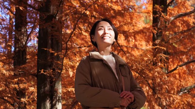 秋の紅葉を楽しむ女性　ミドルエイジ
