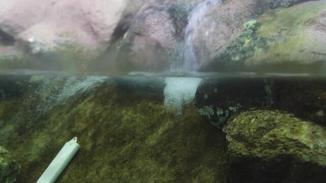 Split view showing a small waterfall flowing into a clear pond. Underwater section reveals mossy rocks and air bubbles from the splash. Natural environment with rocky terrain and aquatic elements.