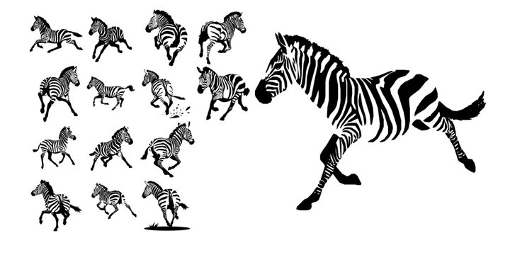 Zebra Running Silhouette