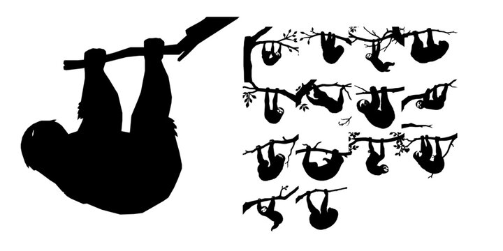 Sloth Hanging From A Branch Silhouette
