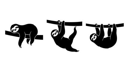 Obraz premium Set of Three Cute Sloth Silhouettes Hanging and Sleeping on Tree Branches Isolated on White Background