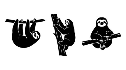 Fototapeta premium Set of Three Black Sloth Silhouettes Hanging and Climbing on Tree Branches Isolated on White Background