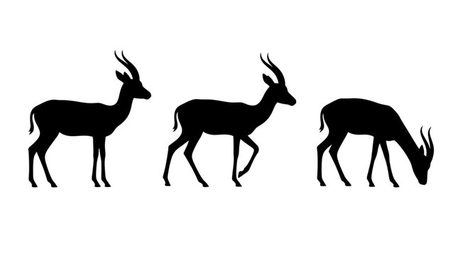 Set of three black gazelle silhouettes in standing walking and grazing poses isolated on white background