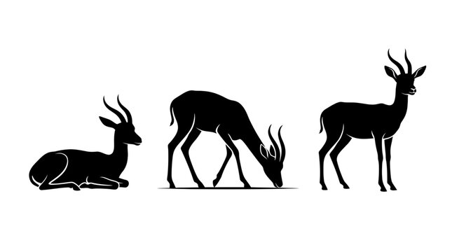 Black silhouettes of three graceful gazelles in various poses including grazing, standing, and resting