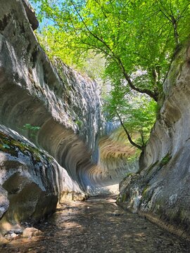 Walking through the river of the Cheile Banitei gorges with impressive rock walls sculpted by the water and sun shining on bright green trees above on a beautiful summer day. Hunedoara, Romania
