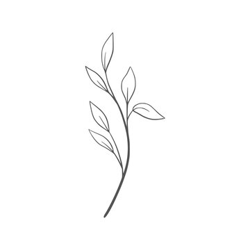 Minimalist line art branch with leaves vector illustration