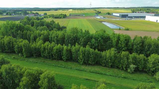Aerial view over vibrant forest and open countryside