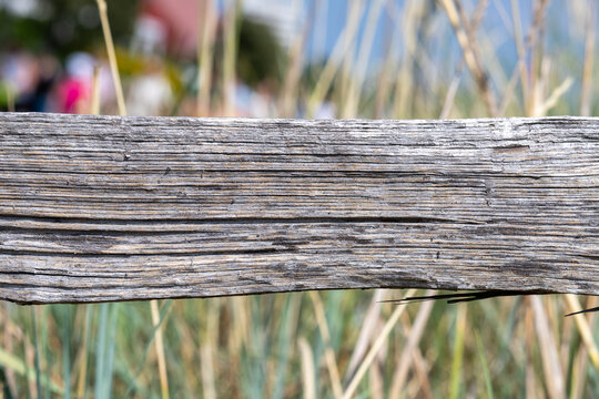 Weathered wood plank beam texture background with natural grain and blurry natural backdrop