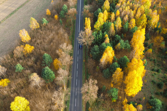Lonely car on quiet autumn highway