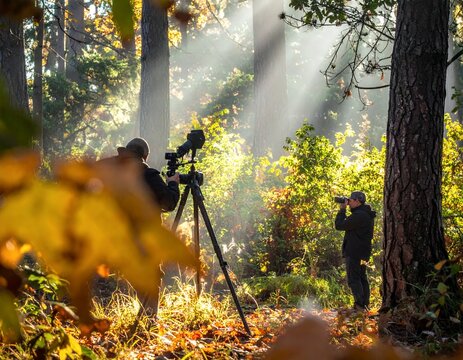 Two people observing nature with binoculars and telescope in a sunlit forest.