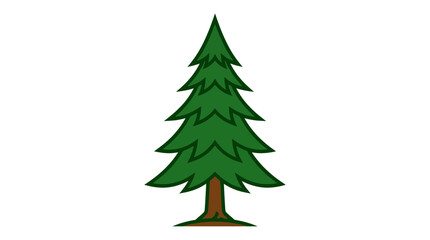 Fototapeta premium Green evergreen tree isolated white background