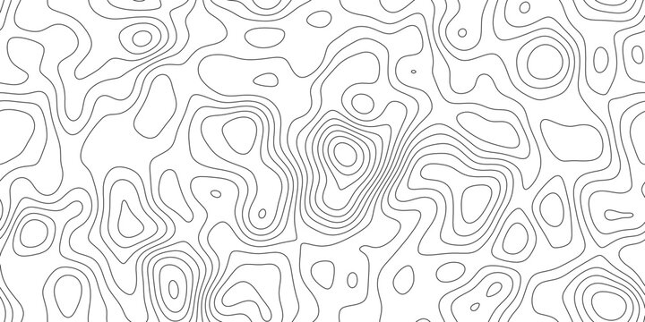 Detailed topography line pattern background with abstract elevation pattern, flowing isoline pattern with natural spacing, for presentation, wallpaper and copy space.