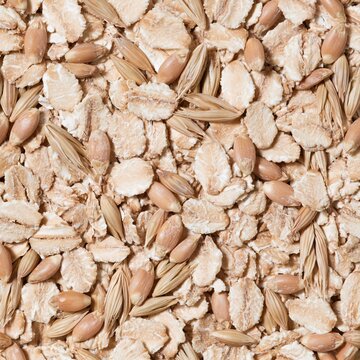 Dry rolled oats and whole wheat berries creating a seamless grain texture, a tactile and wholesome food background for organic nutrition and cereal packaging