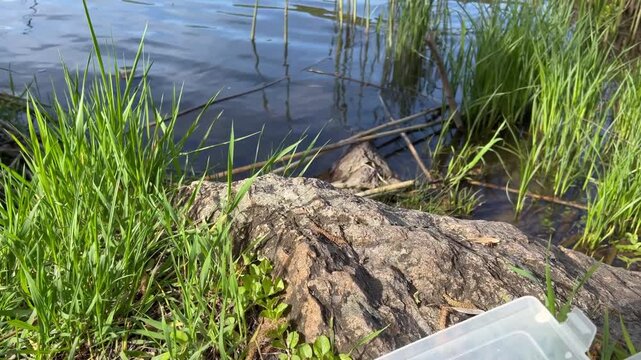 Open tackle box with colorful soft lures, jig heads and hooks on a grassy river bank, camera reveals blue rippled water, spring reeds and rocky hills