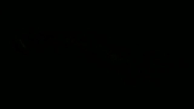 漆黒を切り裂く稲妻の閃光