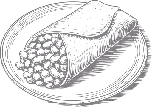Bean Burrito and Wrap on Plate Illustration