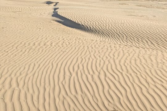 Sand dune texture with wind blown ripples and a prominent ridge. Minimalist desert or beach background showing organic abstract patterns and shadows.