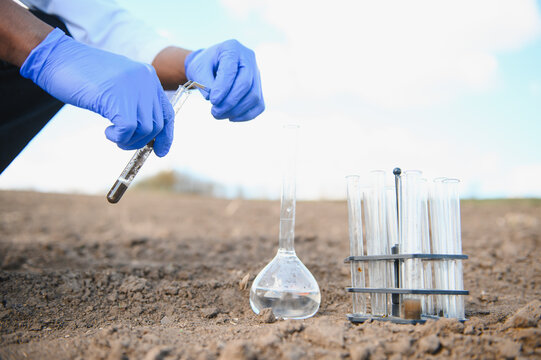 Agronomist analyzing soil sample in agricultural field