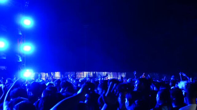 Large Concert Crowd Cheering at a Night Event