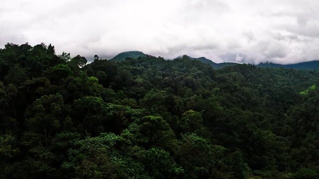 Misty Tropical Mountain Rainforest in Ecuador with Dense Green Canopy, Cloud Covered Hills and Remote Andean Amazon Wilderness Landscape