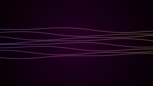 Wavy neon lines gracefully flow across dark purple background abstract science motion graphics background.