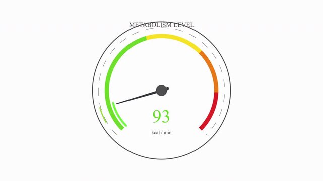 Metabolism level measuring device animation with zoom effect showing infographic gauge, tachometer, speedometer with numerical reading