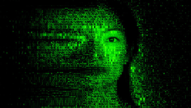 Woman's Face made of Source Data. Identity Theft Concept.